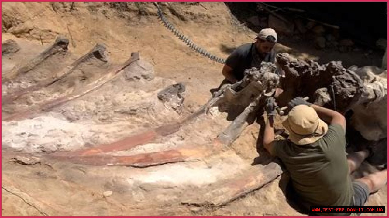 Digging Deep Into The Abby Berner Leaks: Uncovering Secrets And Consequences